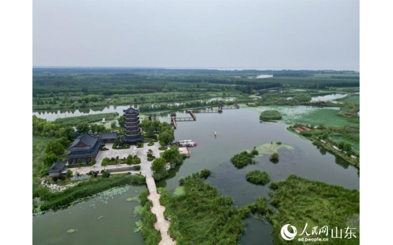 行進(jìn)中國(guó)｜山東東平：湖清岸綠繪新卷